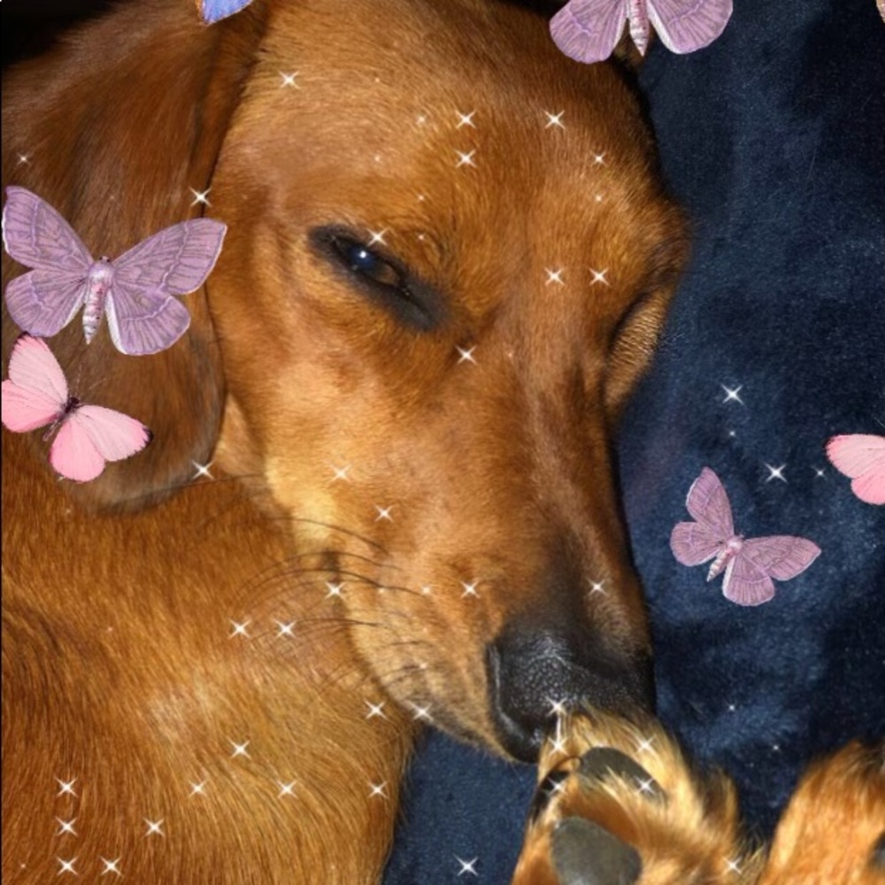 Meet your Posher, Mary